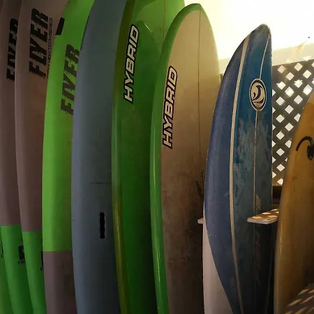 Surfintrip Academy&camp * Коральео